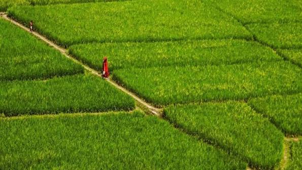 জাল দলিল শনাক্তের মাস্টারক্লাস